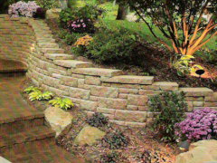 Hardscapes and Softscapes 2