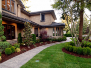 Hardscapes and Softscapes 3