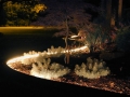 a lighted garden