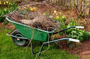 Wheelbarrow