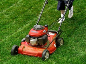 cutting the lawn