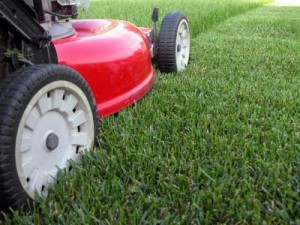 mowing grass