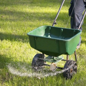 Fertilize Your Lawn